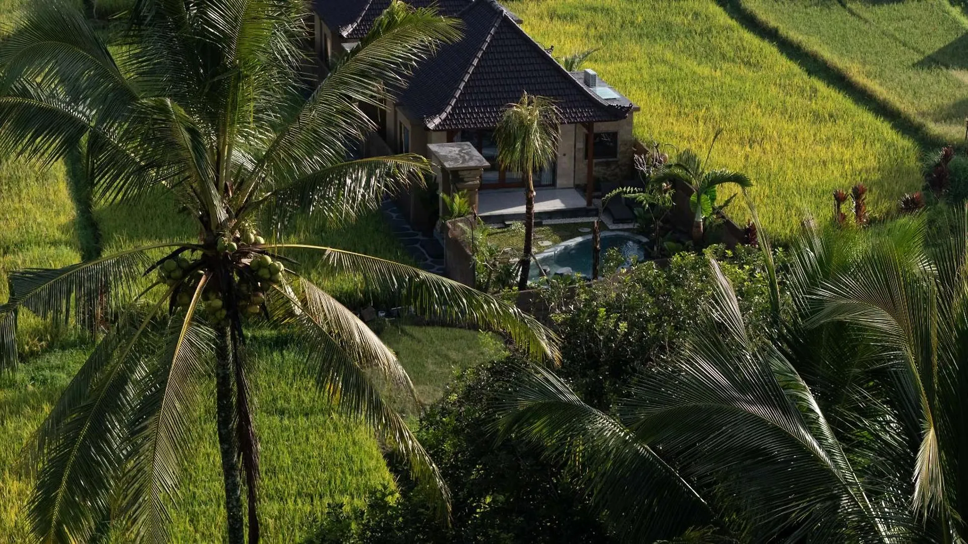 Sawah Sebatu Villa Ubud