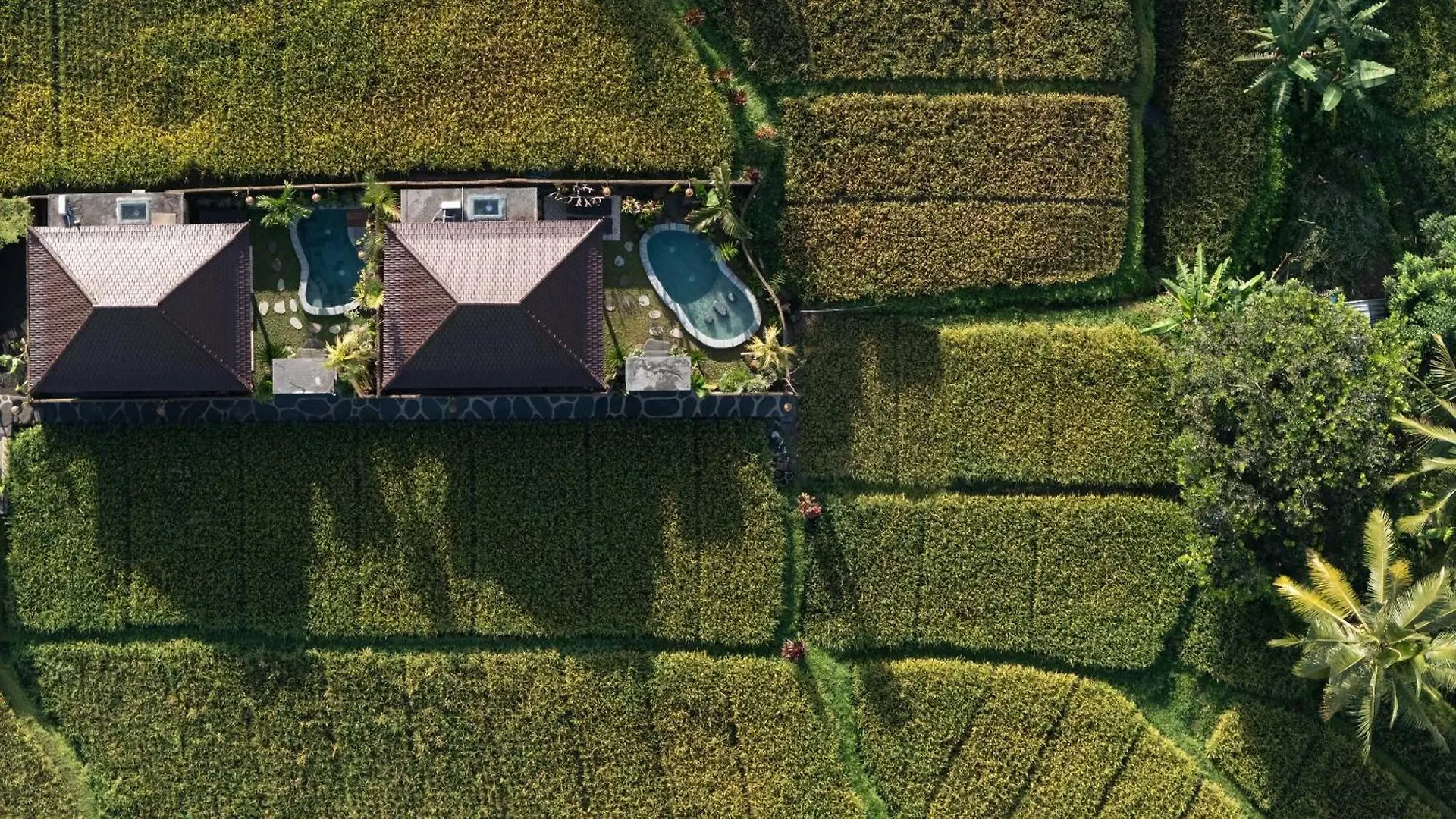 Sawah Sebatu Villa Ubud